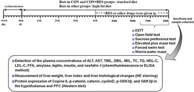 Resveratrol Reduces Glucolipid Metabolic Dysfunction and Learning and Memory Impairment in a NAFLD Rat Model: Involvement in Regulating the Imbalance of Nesfatin-1 Abundance and Copine 6 Expression